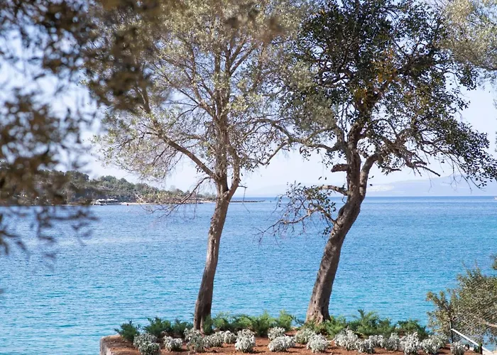 Akana Cennet Koyu Bodrum ホテル *